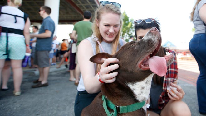 Pints for Paws celebrates 10th year on Saturday
